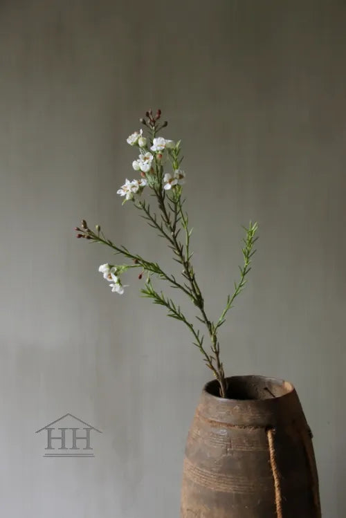 Kunstbloem wax flower 71 cm wit