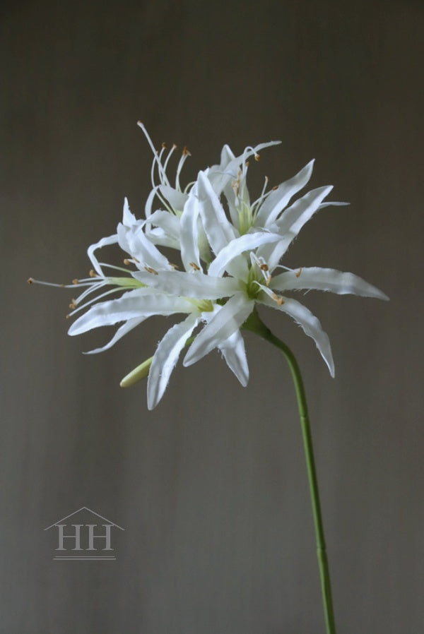 Witte bloemen nerine van zijde | Decoratieve bloem voor in een boeket