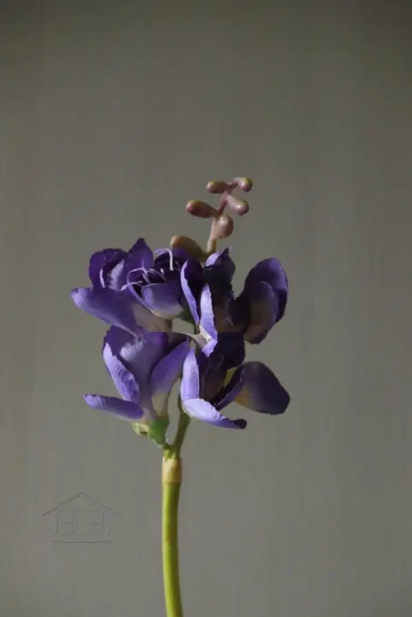 Zijden bloem narcis in paars