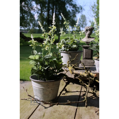 Zinken bloempot voor buiten in de tuin