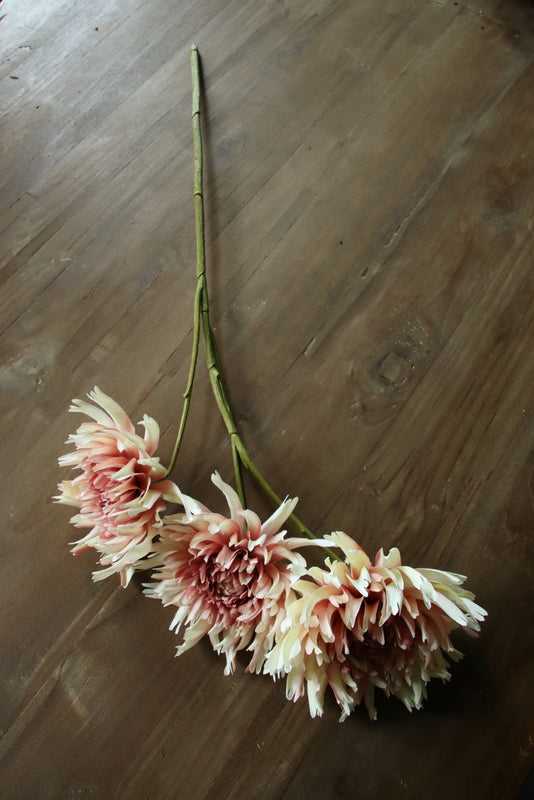 Kunst Dahlia Oud roze met 3 bloemen
