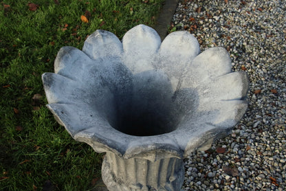 Vaas Tulp