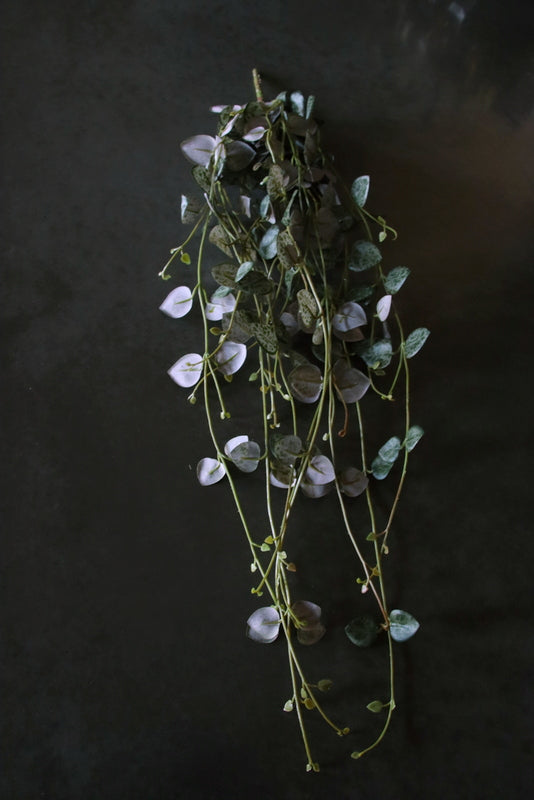 https://www.hillaryshome.nl/webshop/kransen-toeven-ander-groenwerk/krans-half-botay-opgemaakt-met-asparagus-magnoliatakken-en-kunst-ranken-40-cm/