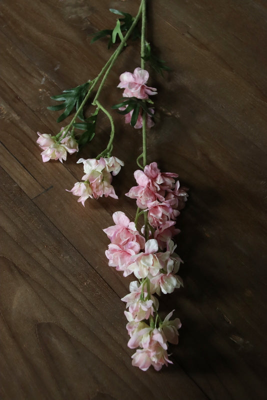 Kunst Delphinium wild zacht roze